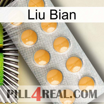 Liu Bian levitra1